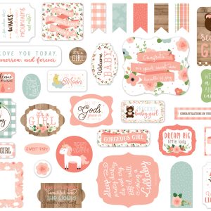 BAG2020224 elementy ozdobne Baby Girl Echo Park