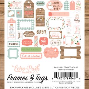 BAG2020225 elementy ozdobne Baby Girl Echo Park