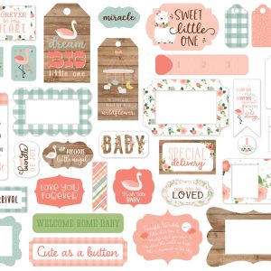 BAG2020225 elementy ozdobne Baby Girl Echo Park