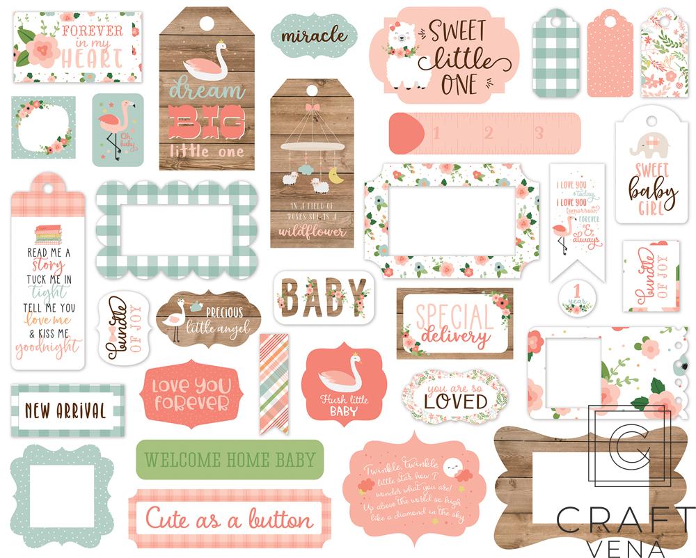 BAG2020225 elementy ozdobne Baby Girl Echo Park