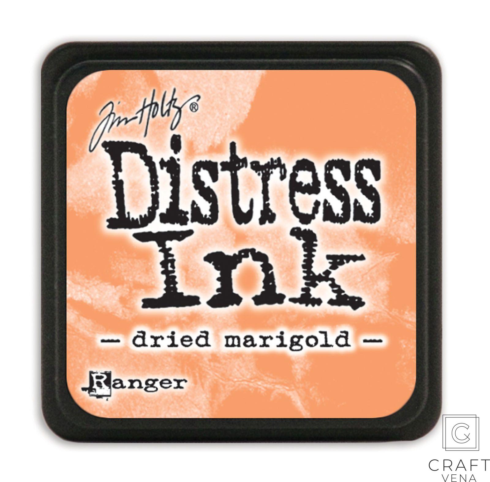 TDP39921 tusz mini diestress Ranger