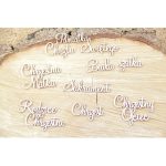 2258 tekturka Scrapiniec