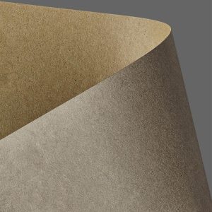 204422 karton gładki Galeria Papieru