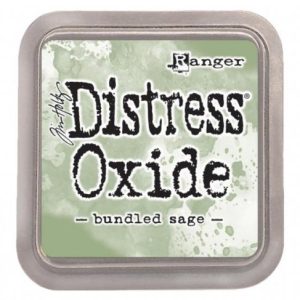 TDO55853 tusz wodny Distress Oxide Ranger