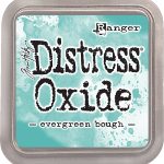 TDO55938 tusz wodny Distress Oxide Ranger