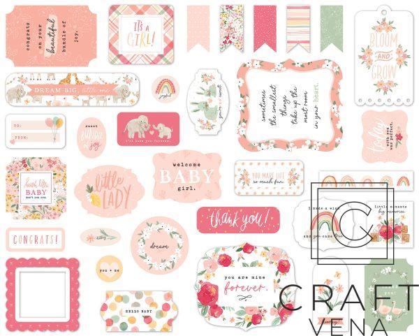 WBG233024die cuts Echo Park