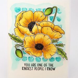723548358128 stemple polimerowe Jane's Doodles