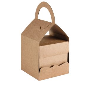 BC1E-7729F Torebka na exploding box