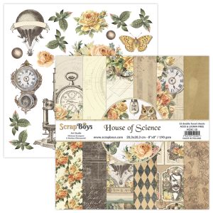 HOSC-10 Scrap Boys House of Science