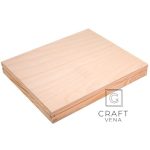 PUDE_DREW_SOSN_17,8x21,5x2,8.1