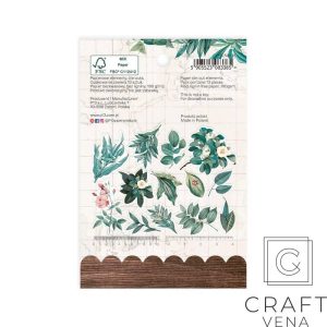 P13-NAT-26