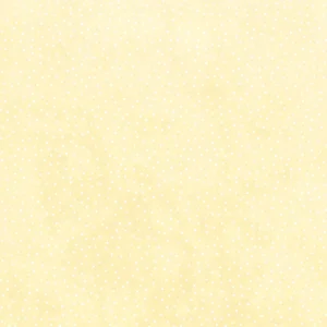 LEM-BASIC-06