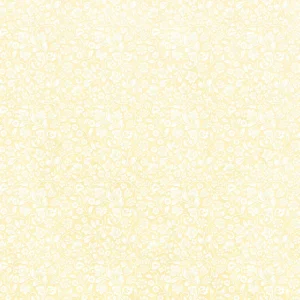 LEM-BASIC-06