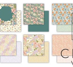 CCDPAD002