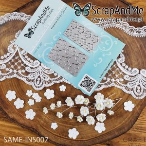 SAME-INS007