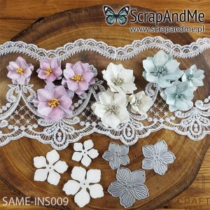 SAME-INS009